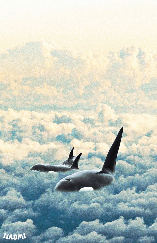 11x17 Orcas