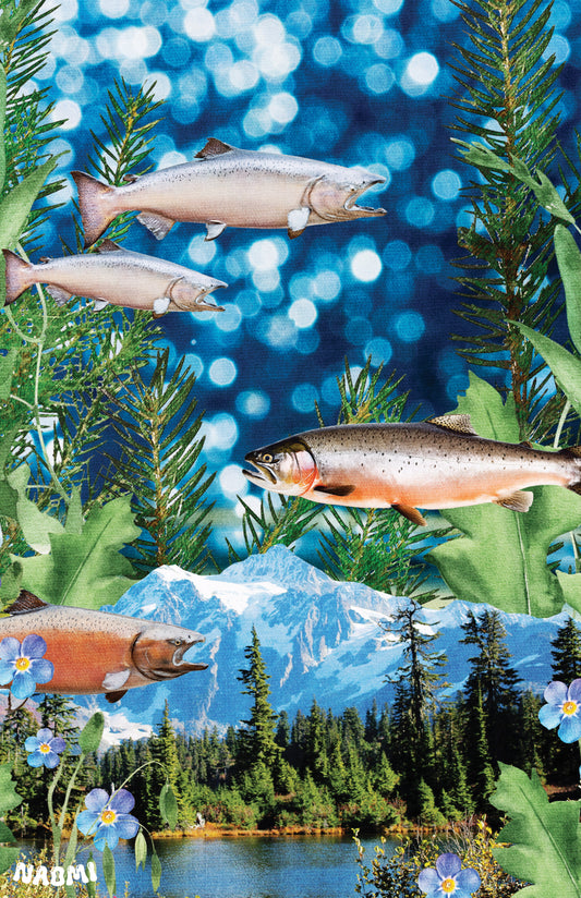11x17 Salmon Print