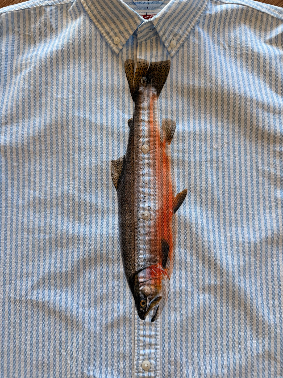 A salmon lies vertically on the front of a light blue and white striped button-down shirt.