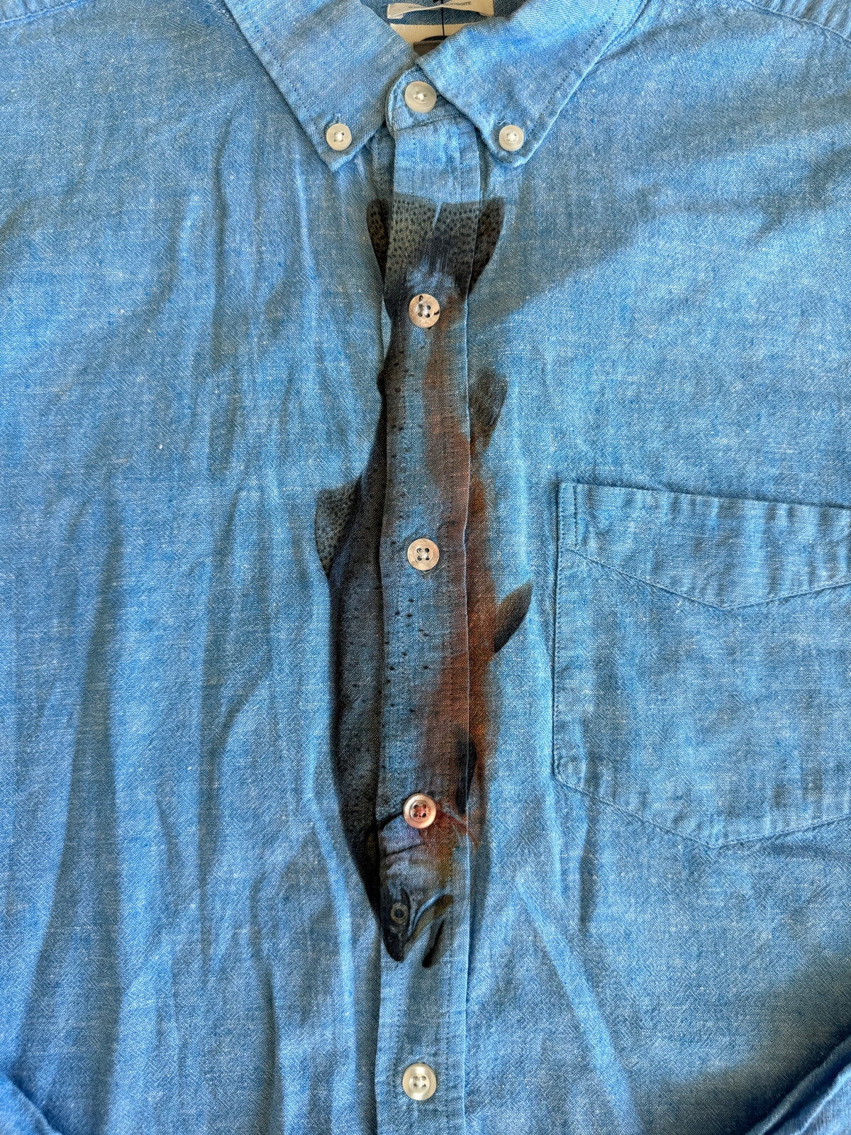 A salmon tie printed on the front of a light blue button down shirt 