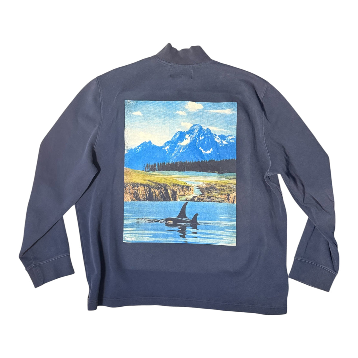 A navy blue long-sleeve quarter-zip pullover sweatshirt featuring a large rectangular graphic print on the back depicting a mountain landscape with a lake, cliffs, and an orca whale.
