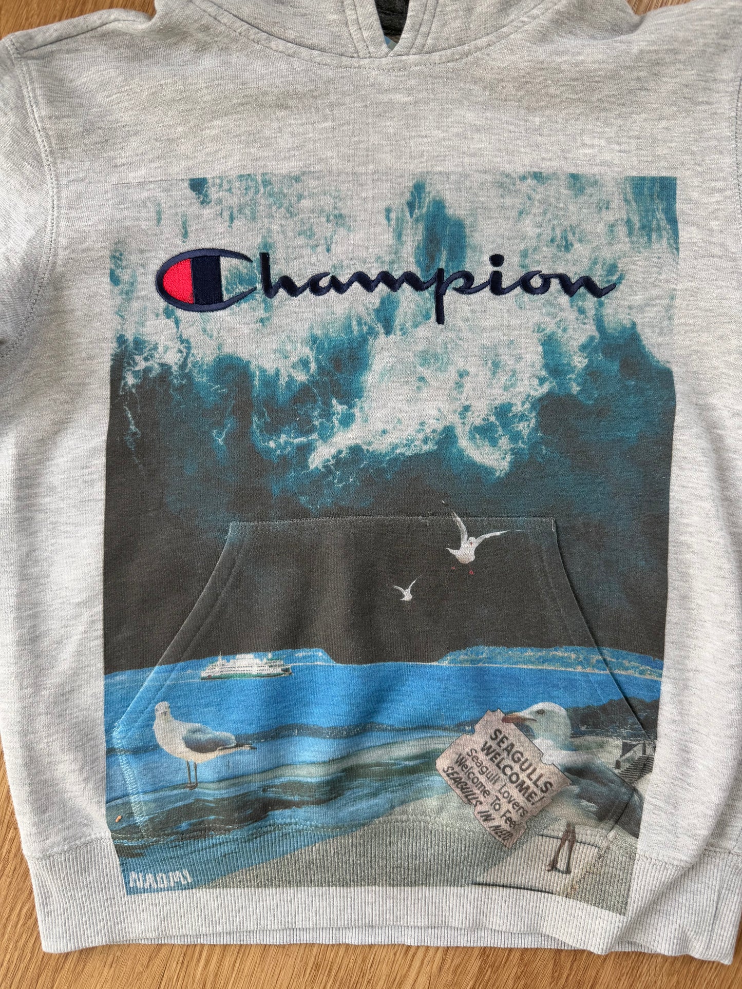 Light Gray Champion Hoodie
