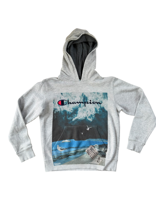 Light Gray Champion Hoodie