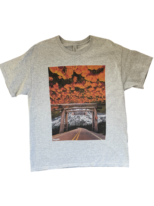 Short Sleeve Gray Tee